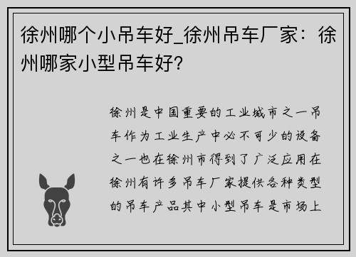 徐州哪个小吊车好_徐州吊车厂家：徐州哪家小型吊车好？